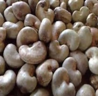 Cashew Nut